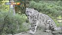 La prima oasi del WWF