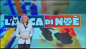 L'educa-cani
