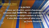 L'aforisma