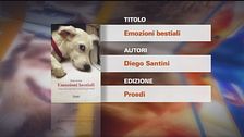 Il Can-piello