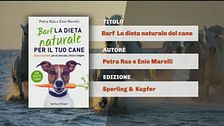 Il Canpiello