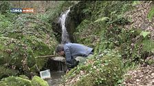 Artista in natura