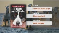 Il Can-piello