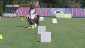 L'educa-cani