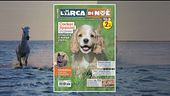 Il can-piello