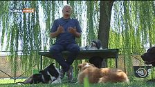 L'Educa-cani