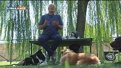 L'Educa-cani