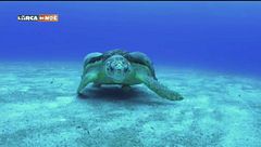 Lo spettacolo del mare