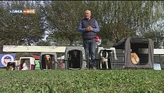 L'Educa-cani