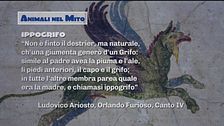 Animali fantastici