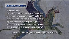Animali fantastici