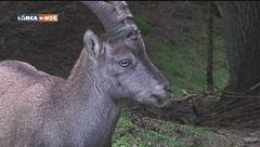 Un osservatorio speciale