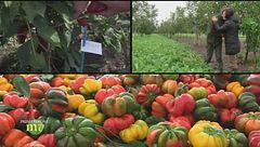 Puntata del 14 gennaio