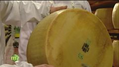 Puntata del 21 gennaio