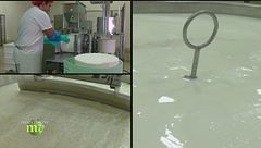 Puntata del 4 febbraio