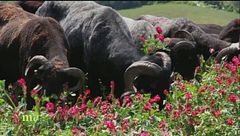 Puntata del 18 febbraio