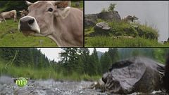 Puntata del 30 settembre