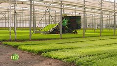 Puntata del 21 ottobre