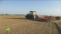 Puntata dell'11 novembre