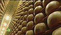 La produzione del Parmigiano Reggiano