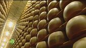 La produzione del Parmigiano Reggiano