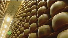 La produzione del Parmigiano Reggiano
