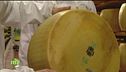 Il Parmigiano nelle ricette