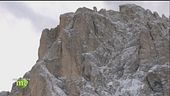 Legno del Piave