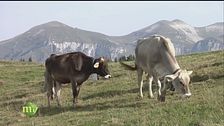 Il sapore delle Dolomiti