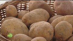 Coltivazione della patata