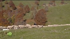 Una risorsa speciale