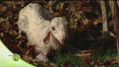 Puntata del 14 gennaio