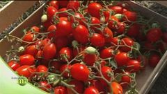 Puntata del 18 marzo