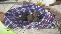 Puntata del 23 settembre