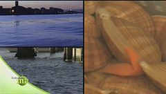 Puntata del 18 novembre