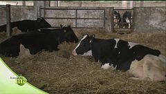 Puntata del 25 novembre