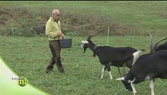 Puntata del 9 dicembre