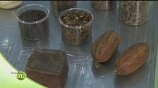 A tutto cacao!