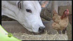 Puntata del 23 dicembre