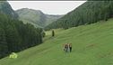Puntata del 3 giugno