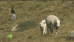 Puntata del 2 settembre