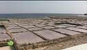 La salina di Gozo