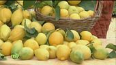 Limoni