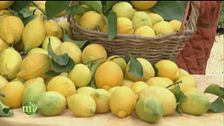 Limoni