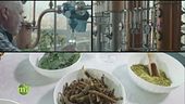 Il gin del Trentino