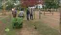 Integrare un progetto sociale in un'attività agricola