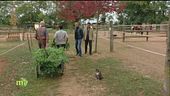Integrare un progetto sociale in un'attività agricola