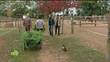 Integrare un progetto sociale in un'attività agricola