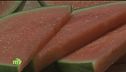 Sapori di Sardegna