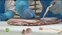 I salumi piacentini